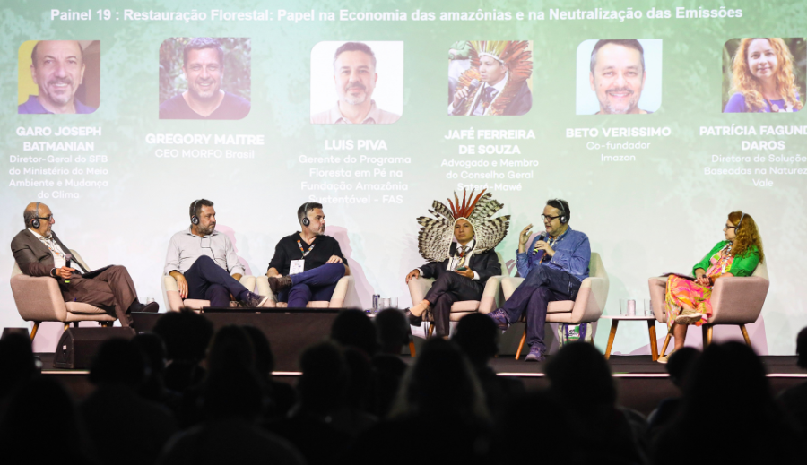 Restauração florestal é alternativa ambiental, social e econômica na Amazônia