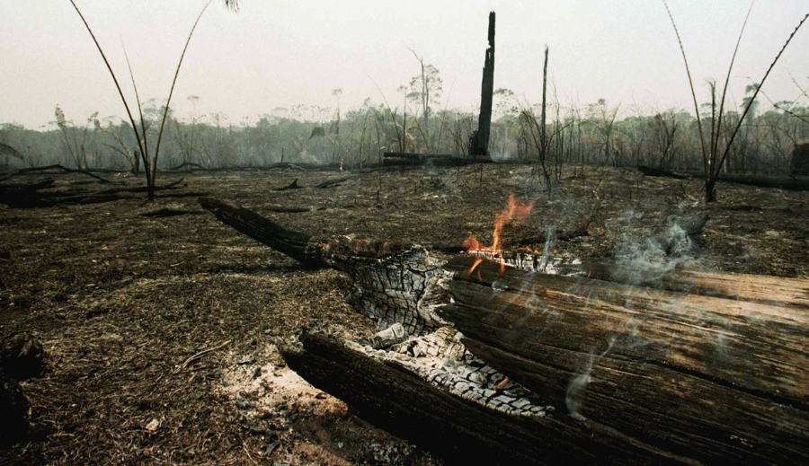 COP-30 Em Belém, reflexões sobre a (Des)Adaptação em curso na Amazônia