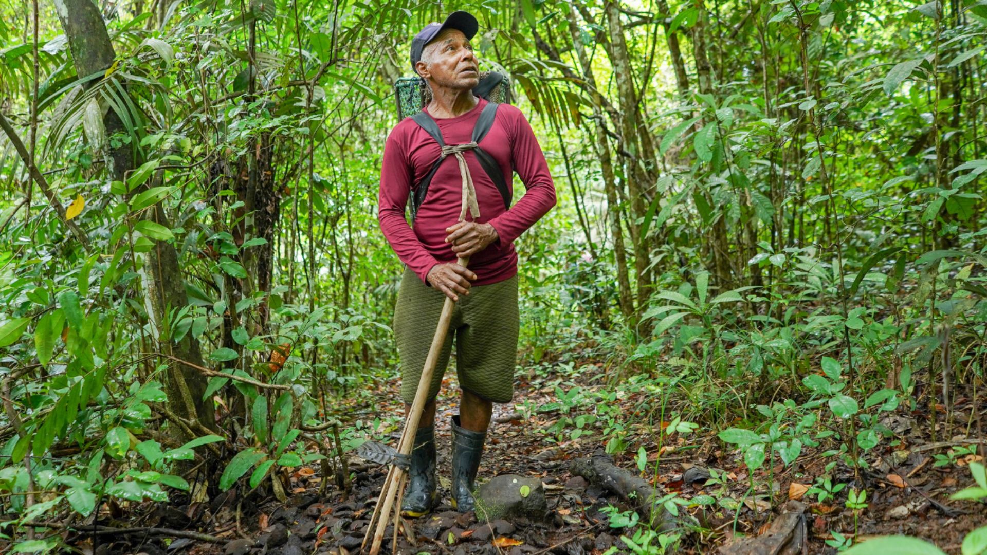 Longe da polêmica do nome, extrativistas do Amapá sofrem com baixa produção de castanha