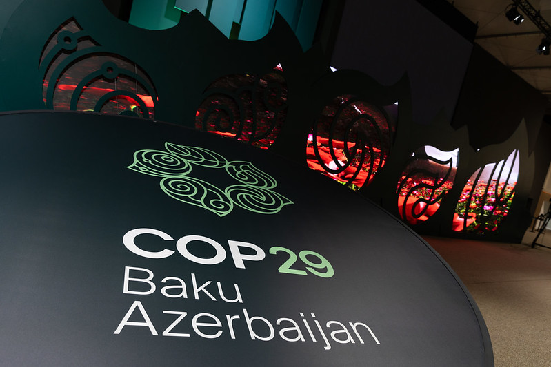  COP29: em Baku, pesquisadores apresentam soluções para a emergência climática na Amazônia.