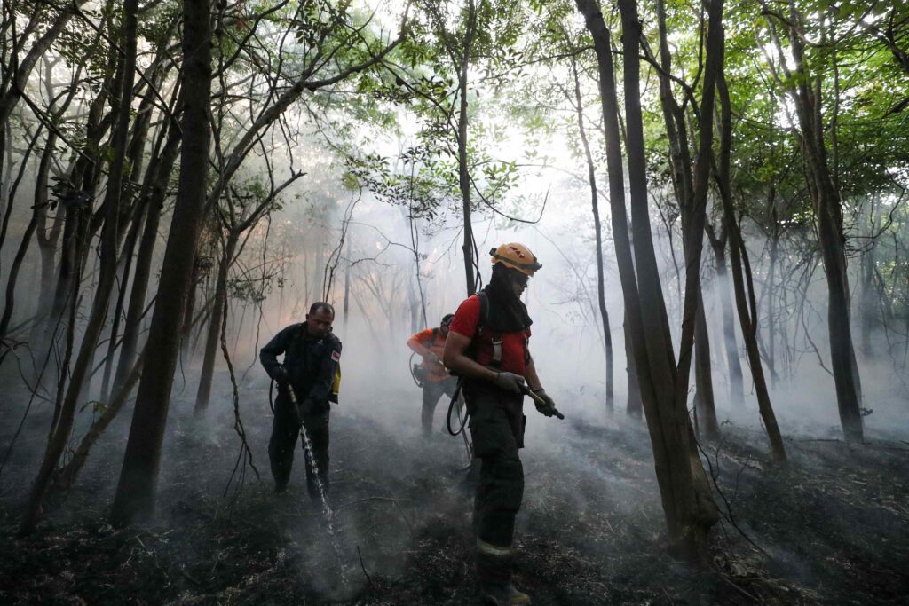 Dicas de cientistas da Amazônia para falar sobre queimadas