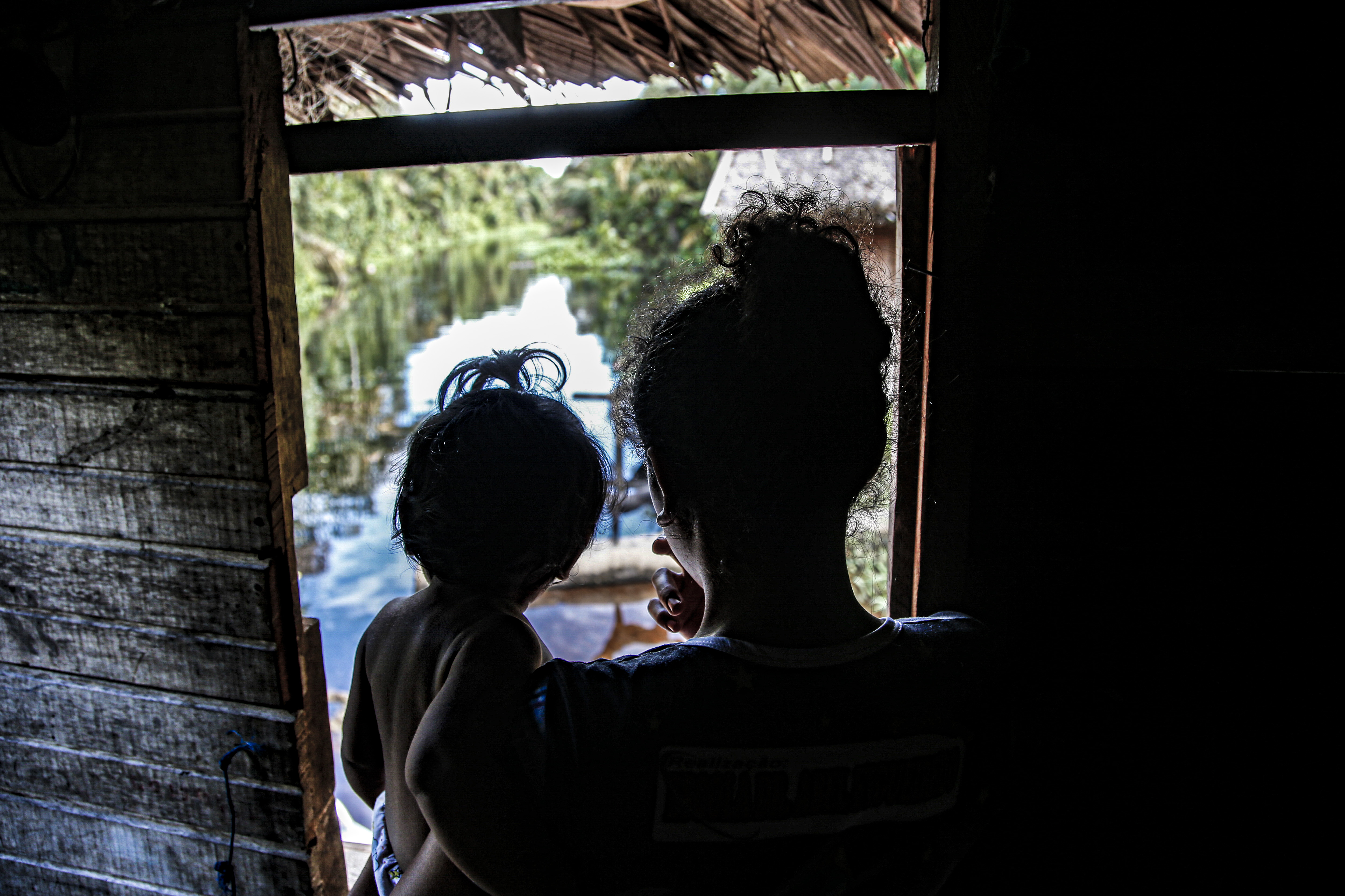 Amazônia Vox é selecionado para programa de bolsas da Dart Center