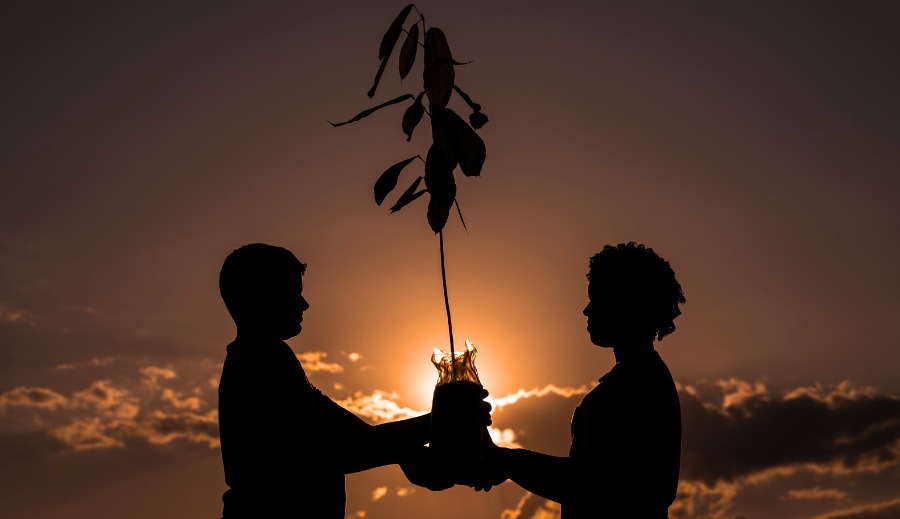 Procurando quem fale sobre conscientização das mudanças climáticas? Separamos alguns amazônidas