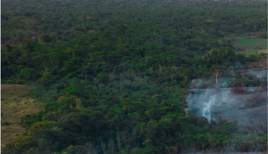 Um incêndio não define a COP30. A Amazônia, sim.