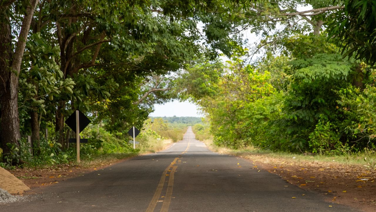 Estrada entre Boa Vista e a serra do Tepequém, em Roraima.
