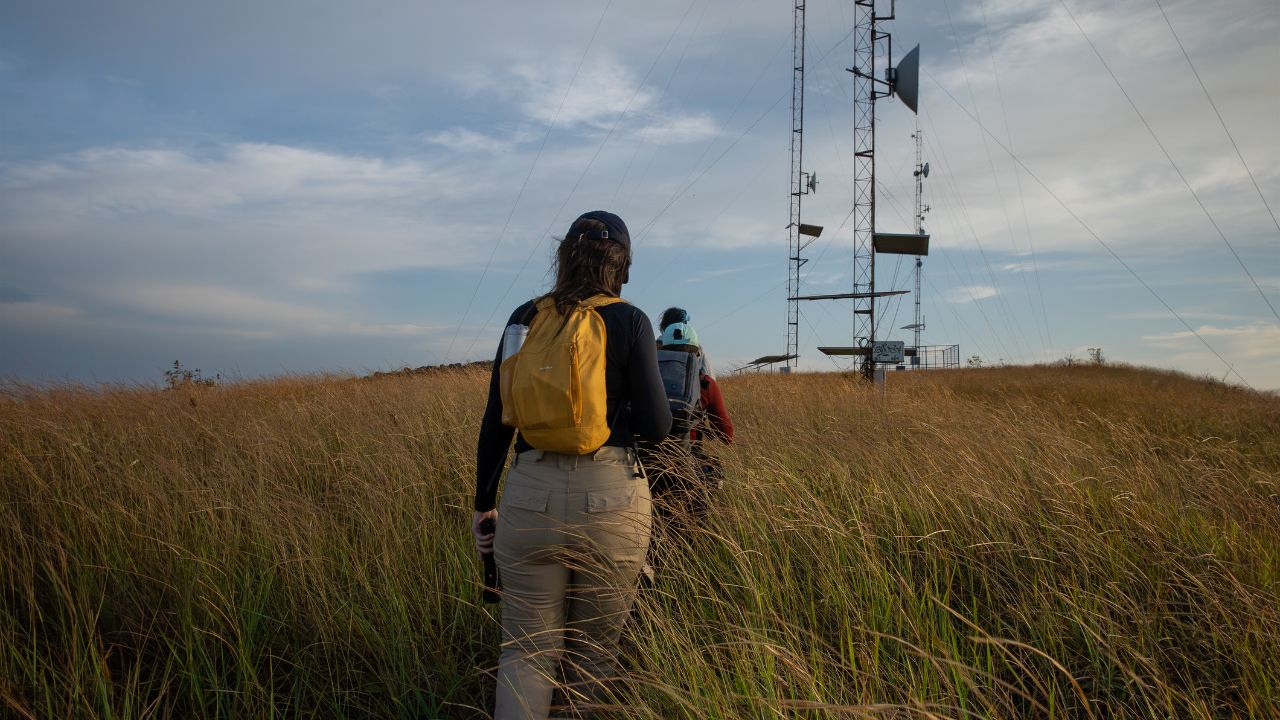Paisagem da trilha do Platô, na Serra do Tepequém, com vegetação, formações rochosas e nascentes.