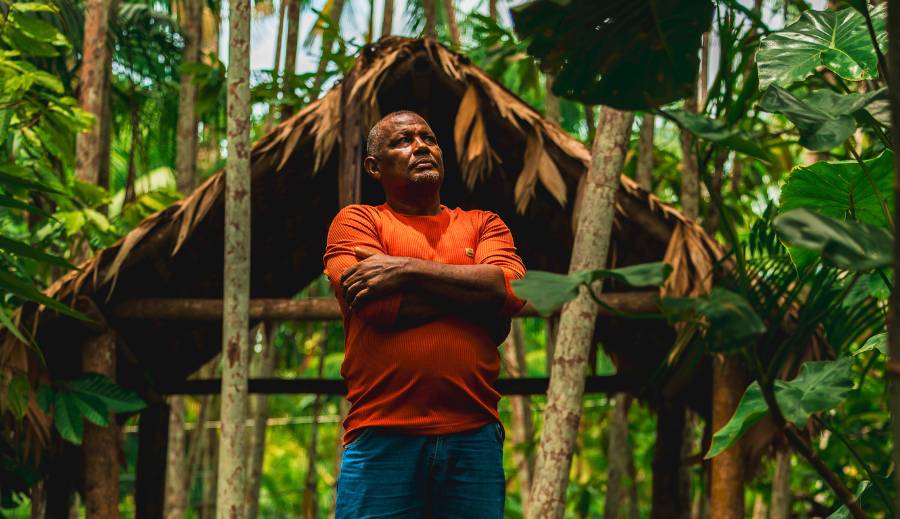 Amazônia é uma marca engajada e valiosa: da floresta pra fora 