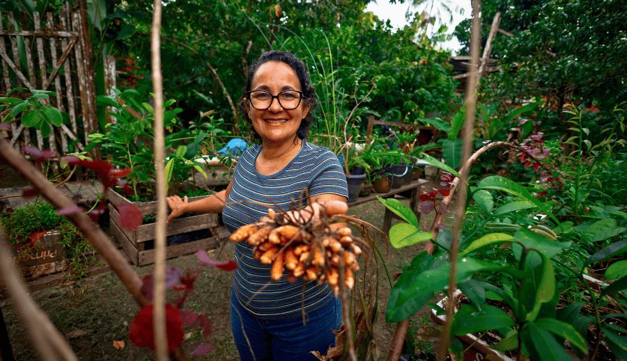 Amazônia Vox fecha parceria com a plataforma global SOMMOS AMAZÔNIA
