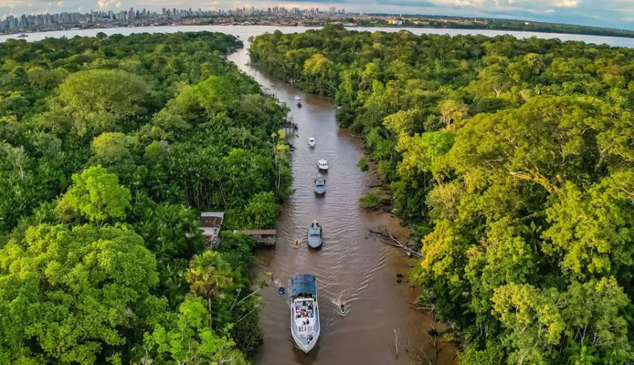 Participe de capacitação em cobertura climática e concorra a bolsas para reportagens sobre a COP30