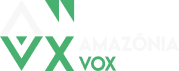Logo Lições da Amazônia